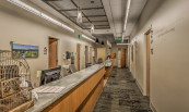Saint Alphonsus New Urgent Care Building
